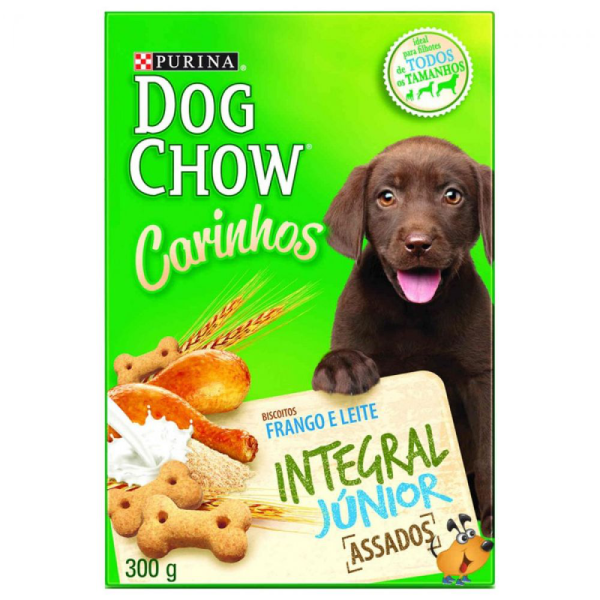 DOG CHOW CARINHOS FILHOTES 300GR