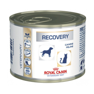 ROYAL CANIN LATA RECOVERY 195 GR