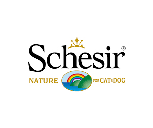 Schesir