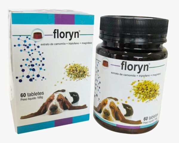 FLORYN 168GR 60 TABLETES