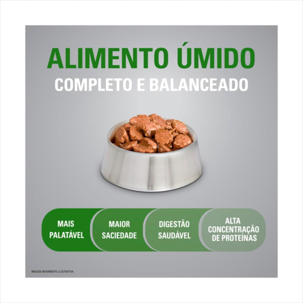OPTIMUM SACHÊ DOG ADULTO RP FRANGO 100GR - Image 2