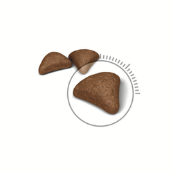 ROYAL CANIN FELINE HAIRBALL CARE 1,5KG